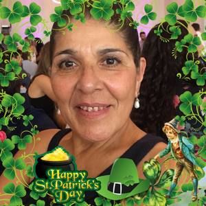 Meet your Posher, Susan